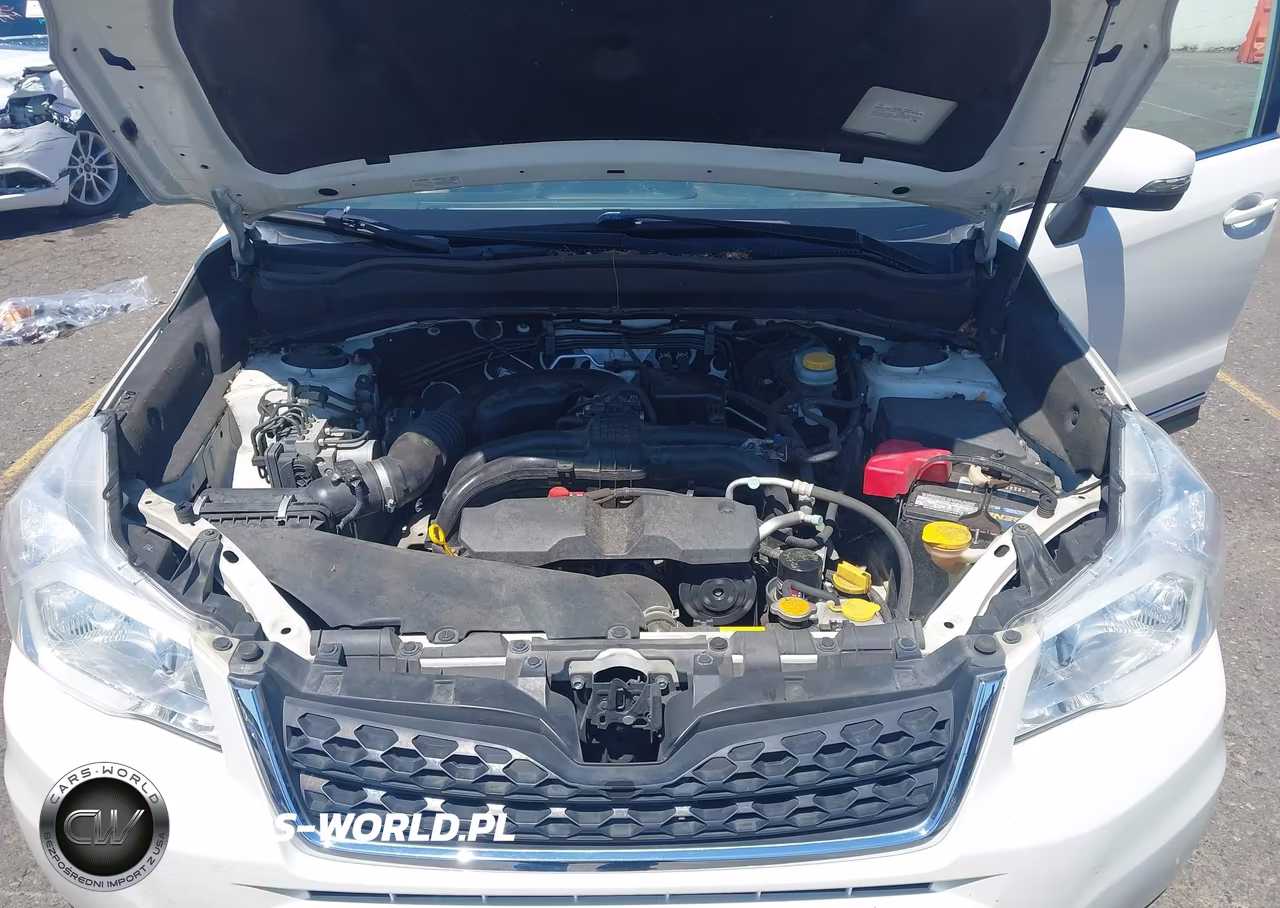 2015 Subaru Forester 2.5I Touring VIN:JF2SJAWC1FH437319 - 10