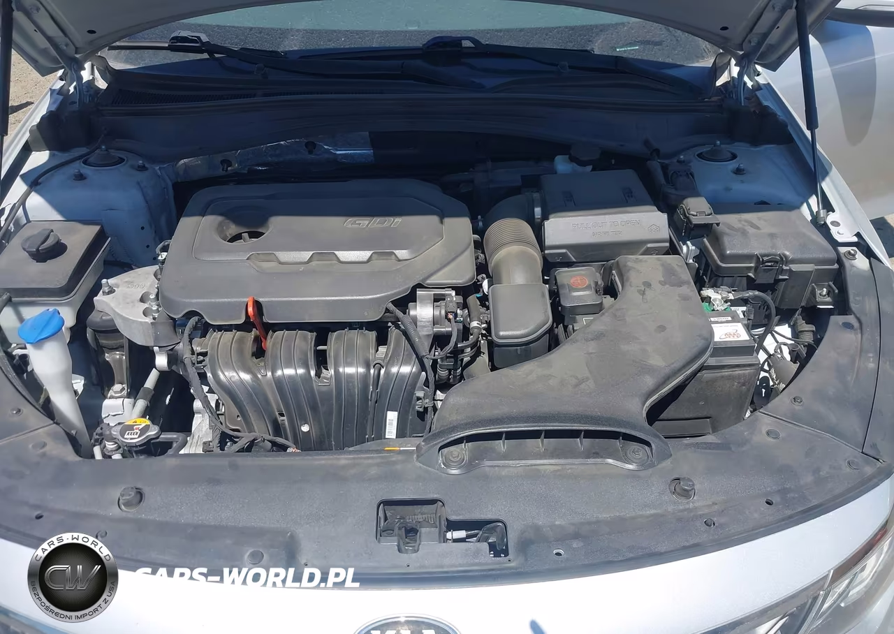 2019 Kia Optima Lx VIN:5XXGT4L36KG350088 - 10