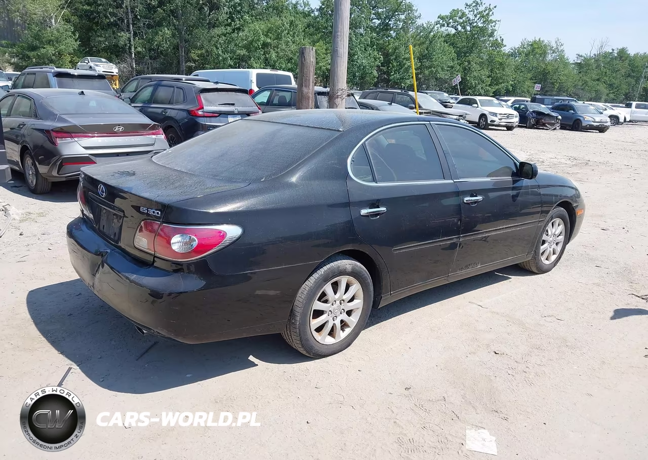 2002 Lexus Es 300 VIN:JTHBF30GX25019035 - 3