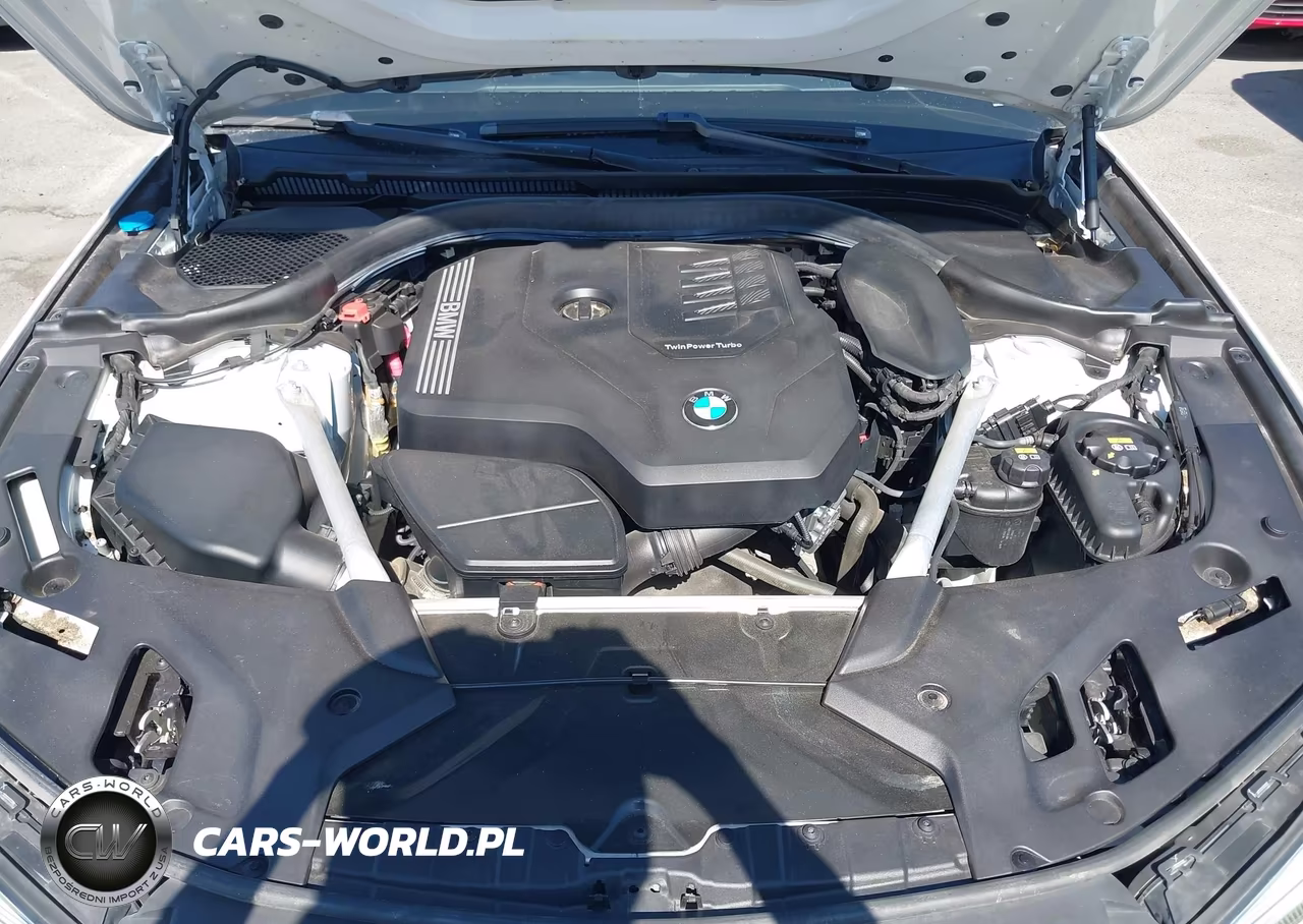 2021 BMW 530I VIN:WBA53BH01MWW99118 - 10
