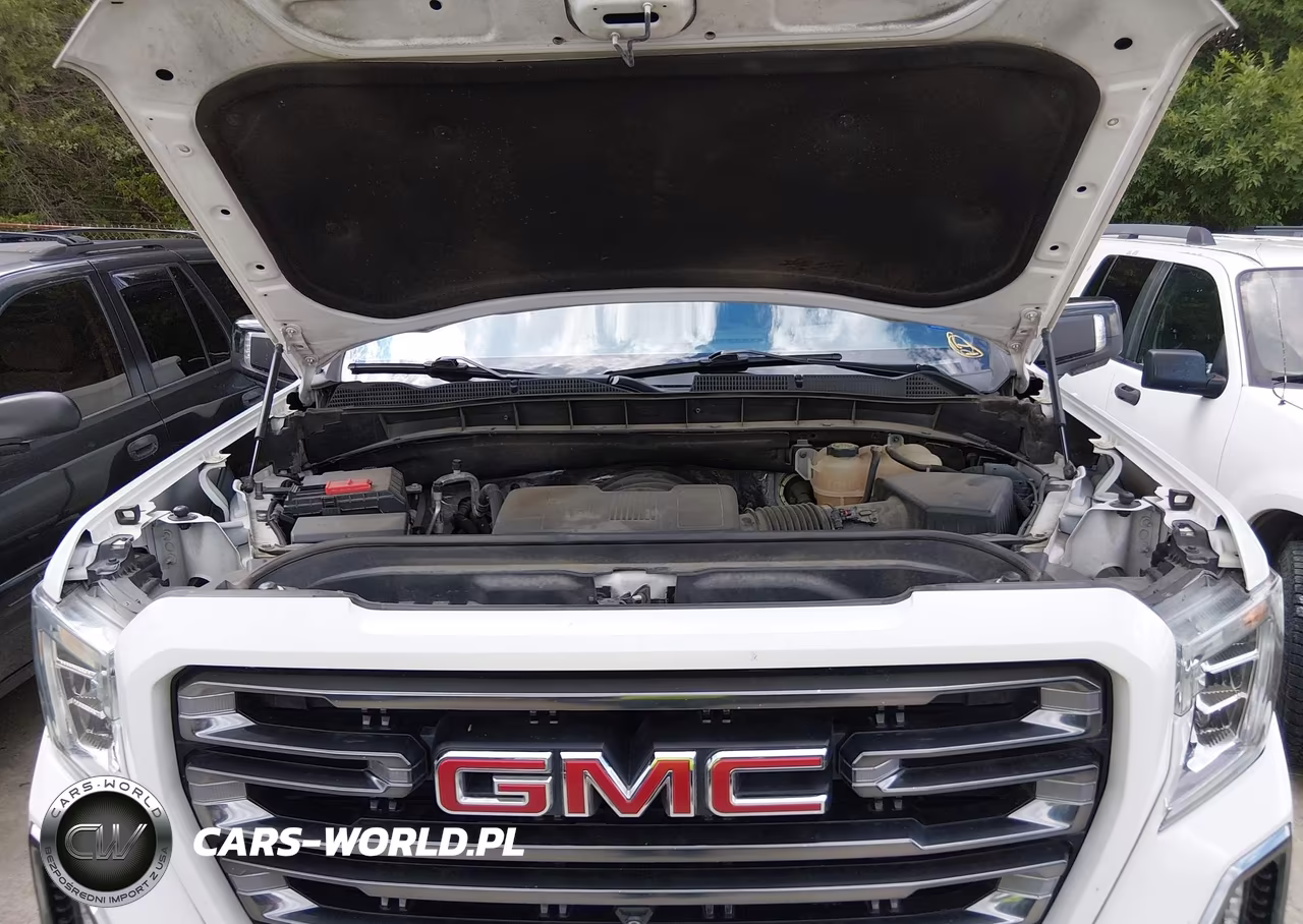 2019 GMC Sierra 1500 At4 VIN:1GTP9EEL9KZ177844 - 10