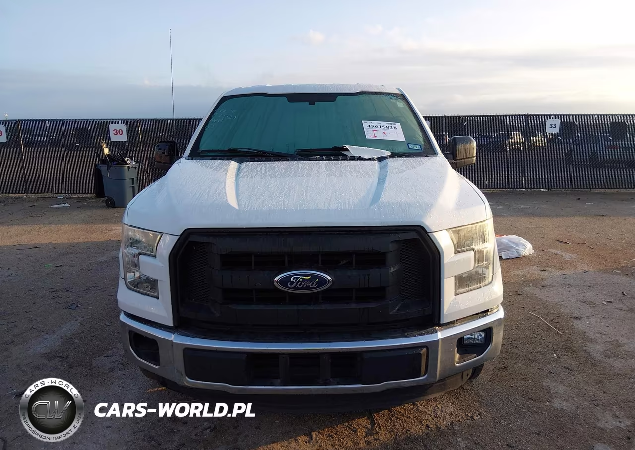 2016 Ford F-150 Xl VIN:1FTEX1CP1GFA08423 - 12