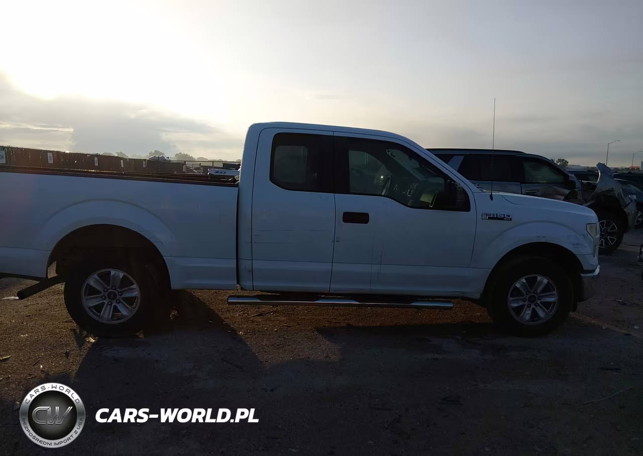 2016 Ford F-150 Xl VIN:1FTEX1CP1GFA08423 - 13