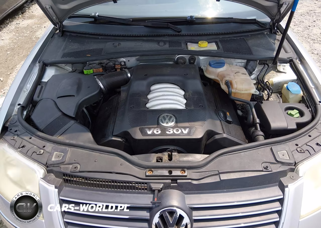 2004 Volkswagen Passat Glx VIN:WVWRH63BX4P041314 - 10