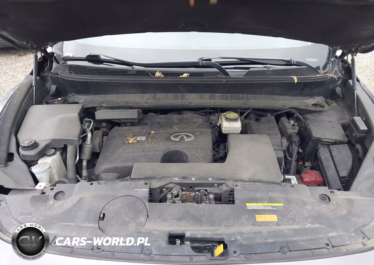 2019 Infiniti Qx60 Pure VIN:5N1DL0MN2KC548030 - 10