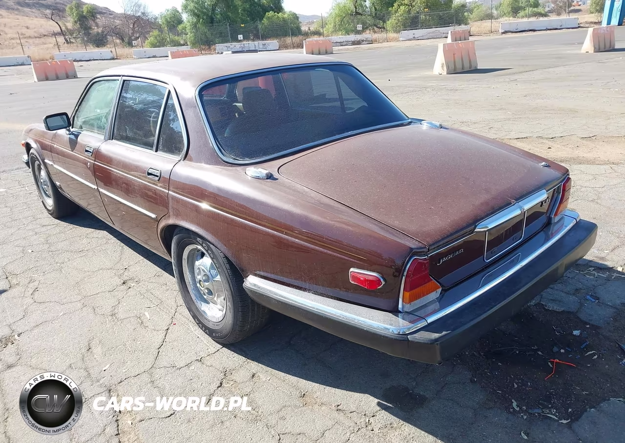 1984 Jaguar Xj6 VIN:SAJAV1342EC389788 - 3