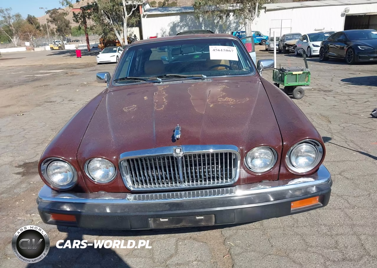 1984 Jaguar Xj6 VIN:SAJAV1342EC389788 - 6
