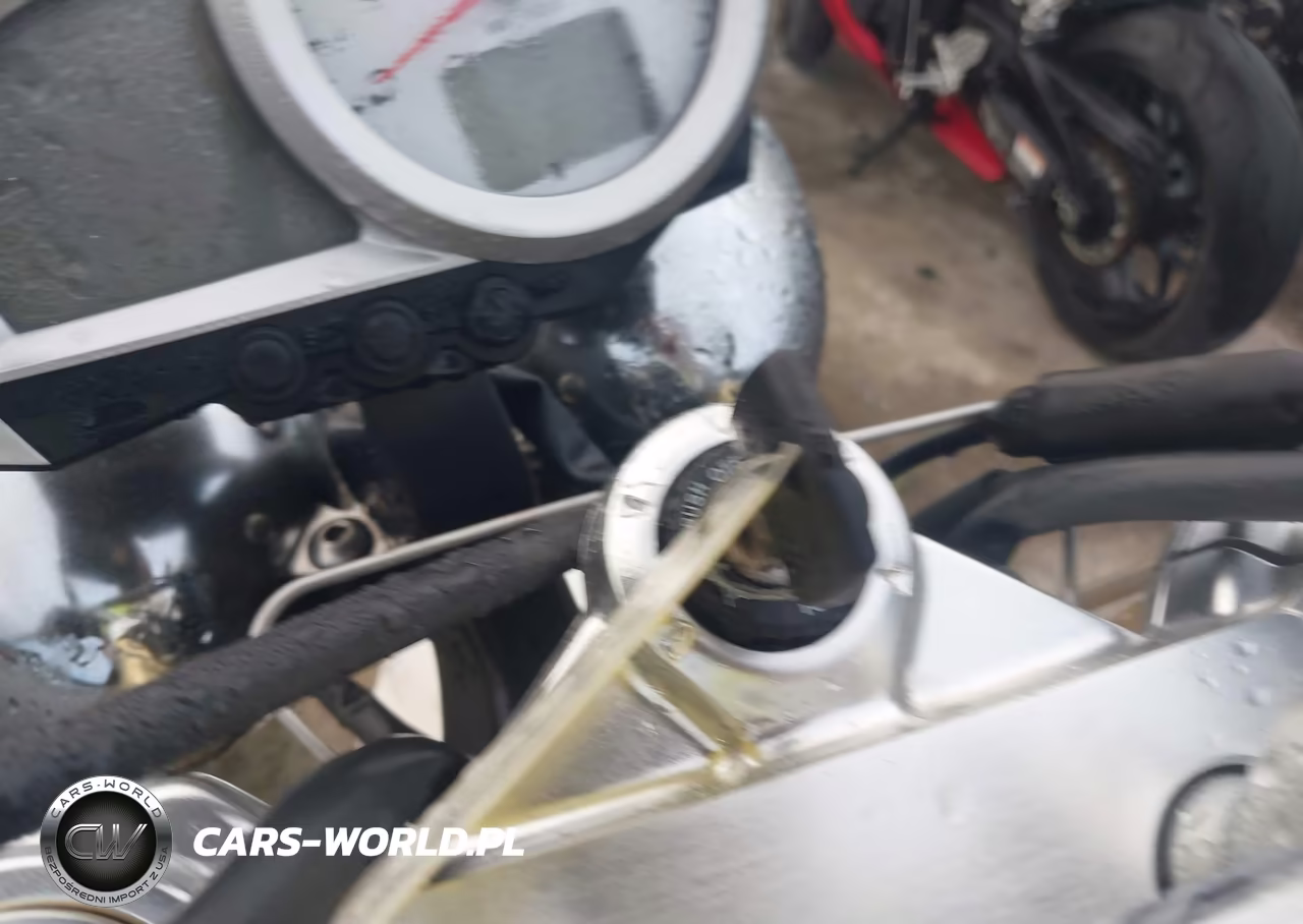 2007 Triumph Motorcycle Speed Triple VIN:SMT500PK87J294332 - 11