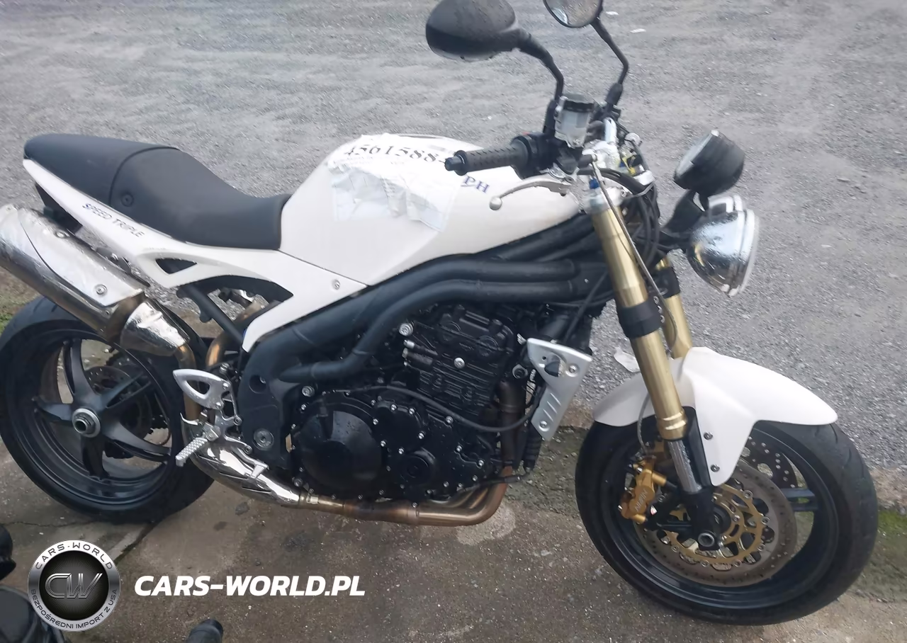 2007 Triumph Motorcycle Speed Triple VIN:SMT500PK87J294332 - 12