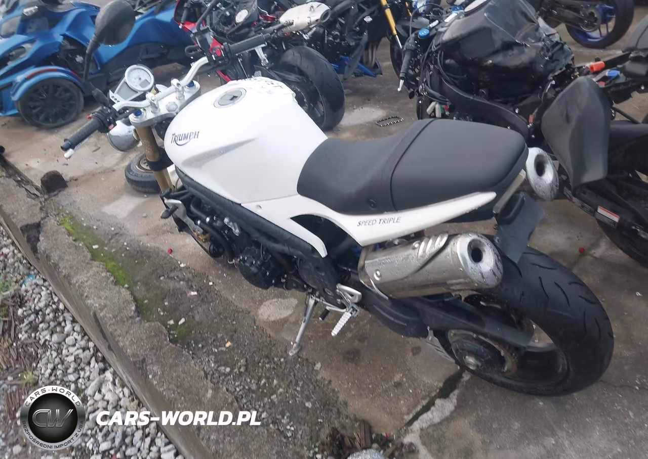 2007 Triumph Motorcycle Speed Triple VIN:SMT500PK87J294332 - 13