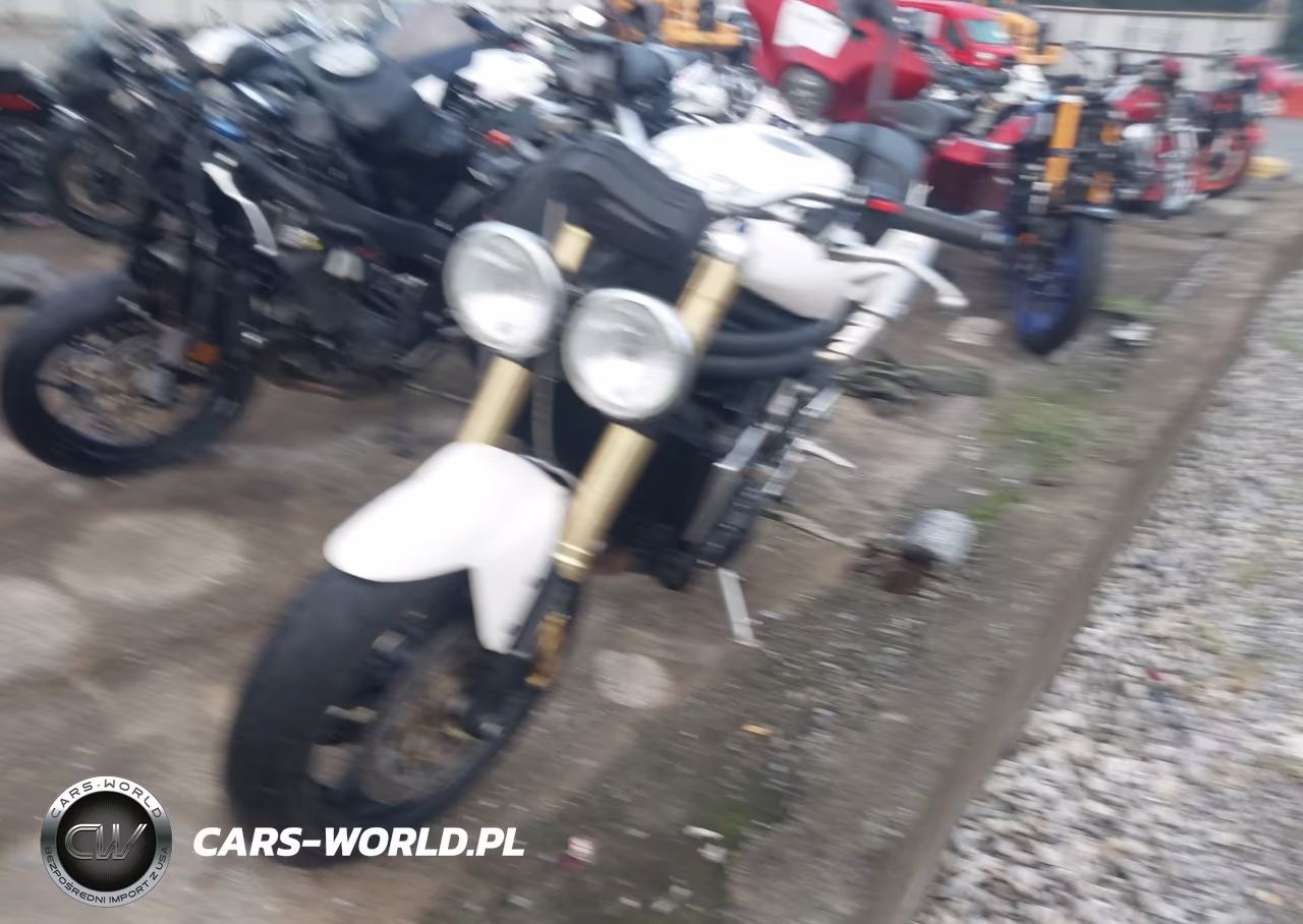 2007 Triumph Motorcycle Speed Triple VIN:SMT500PK87J294332 - 2