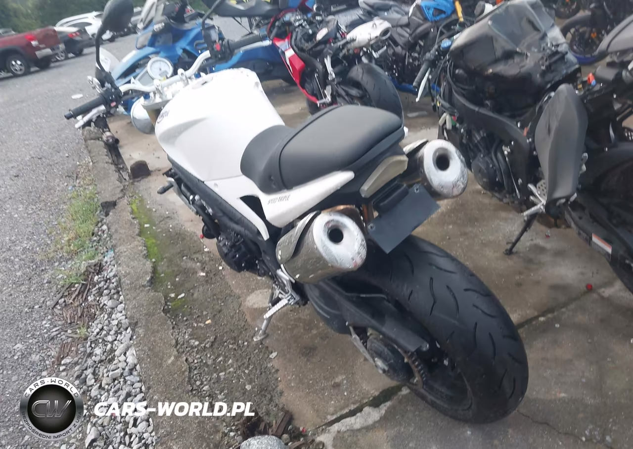 2007 Triumph Motorcycle Speed Triple VIN:SMT500PK87J294332 - 3