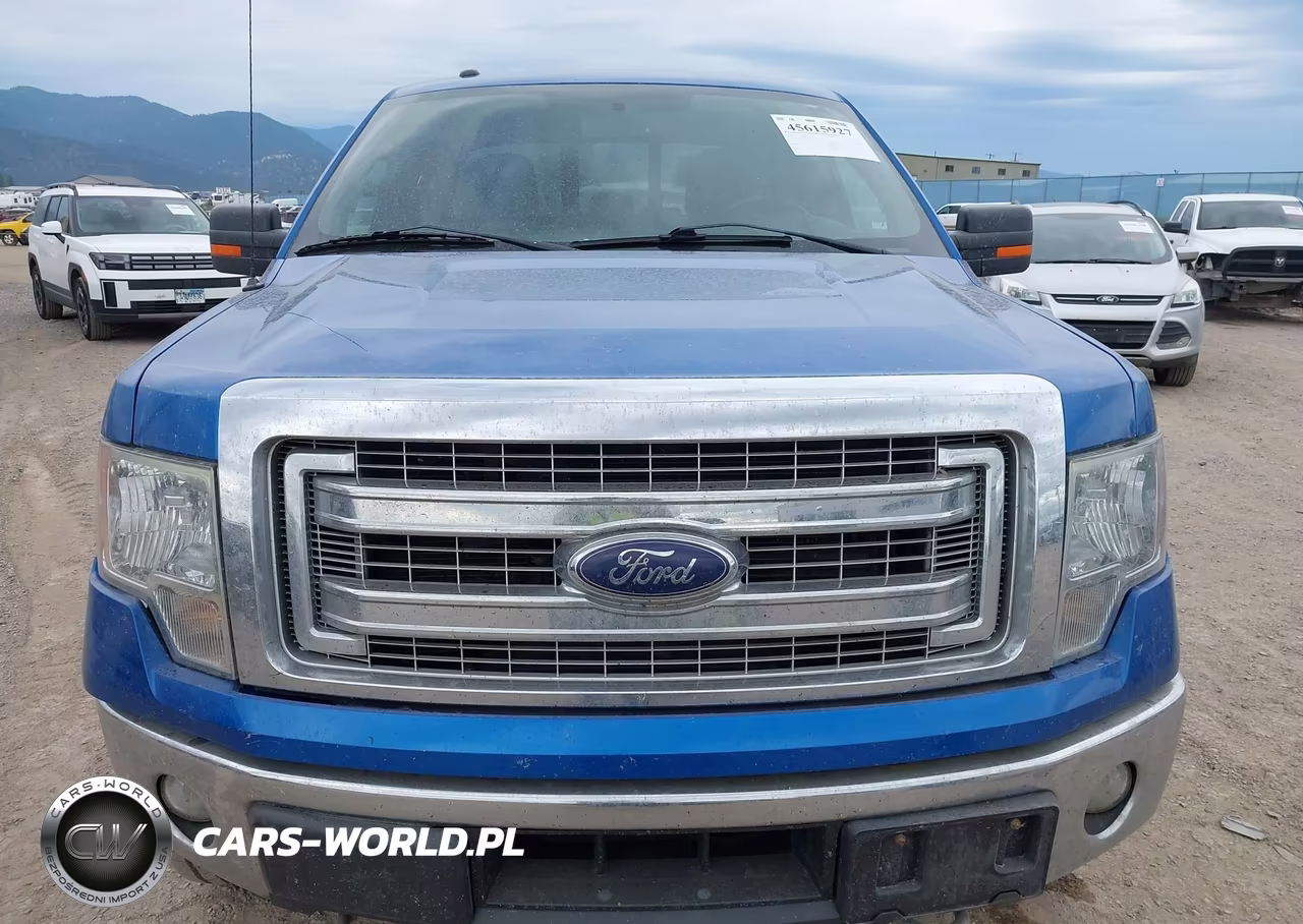 2014 Ford F-150 Fx4-Lariat-Xl-Xlt VIN:1FTFX1ET2EKG57618 - 12