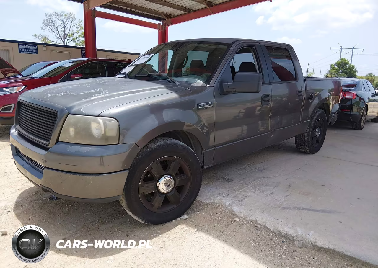2005 Ford F-150 Xlt VIN:1FTRW12W25FA69046 - 2