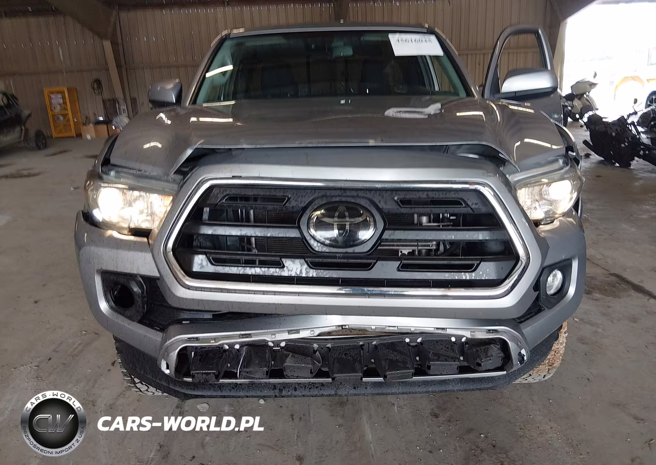 2019 Toyota Tacoma Sr5 V6 VIN:5TFSZ5AN6KX207895 - 17
