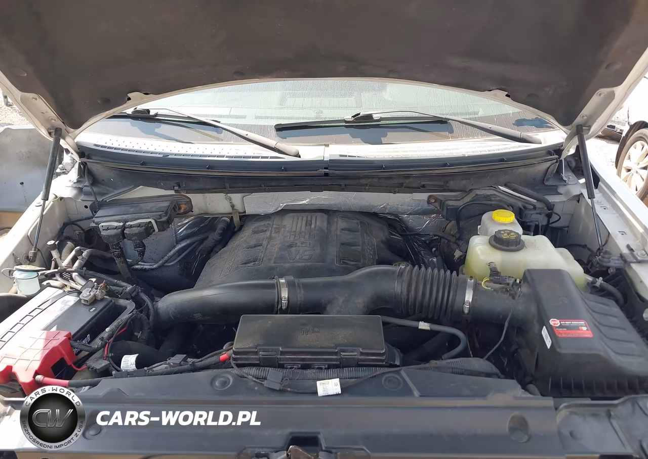 2014 Ford F-150 Xlt VIN:1FTFW1ET8EFC64749 - 10