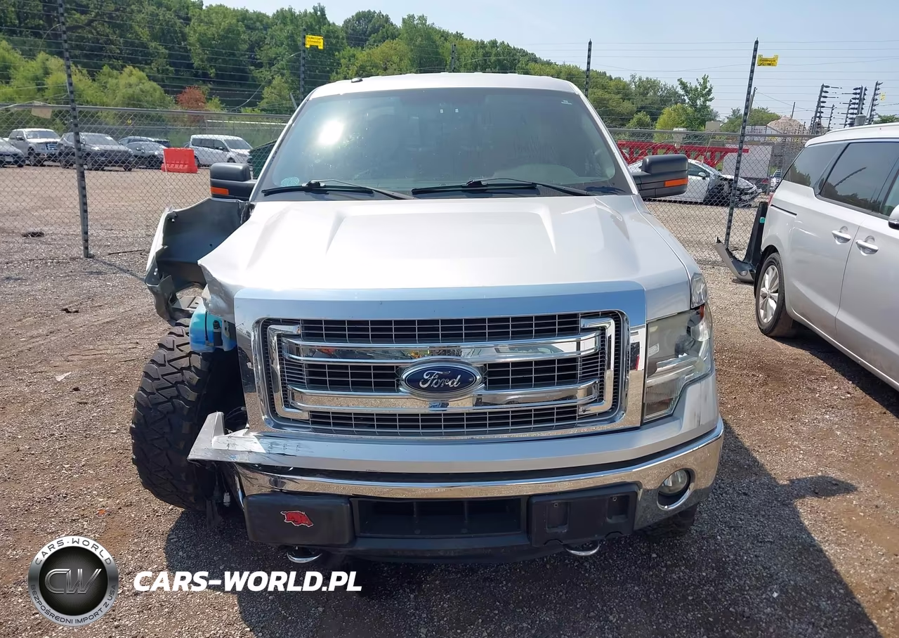 2014 Ford F-150 Xlt VIN:1FTFW1ET8EFC64749 - 12
