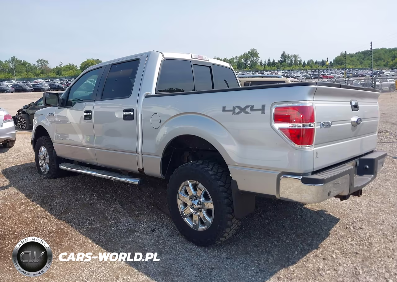 2014 Ford F-150 Xlt VIN:1FTFW1ET8EFC64749 - 3