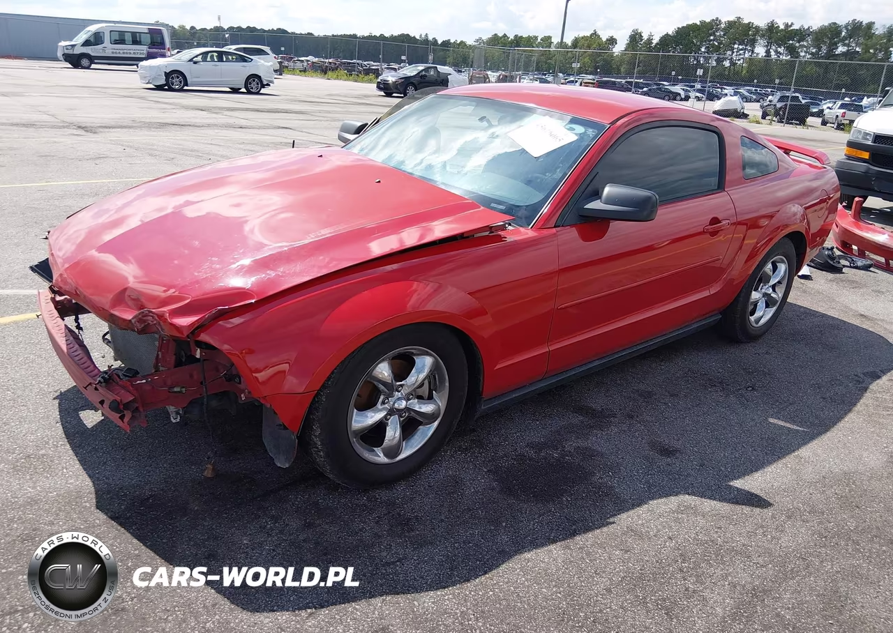2006 Ford Mustang V6 VIN:1ZVFT80N565244036 - 2