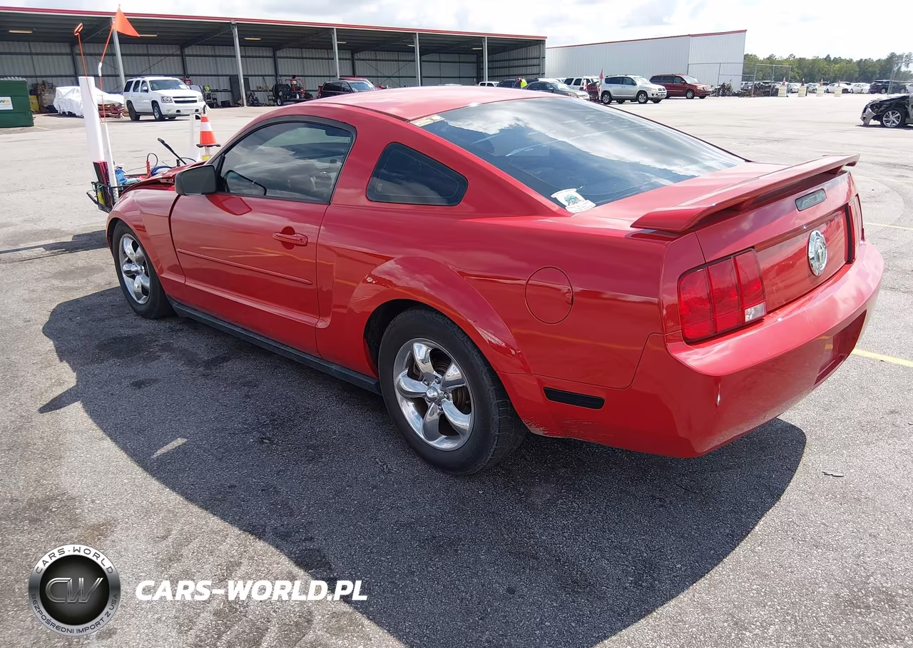 2006 Ford Mustang V6 VIN:1ZVFT80N565244036 - 3
