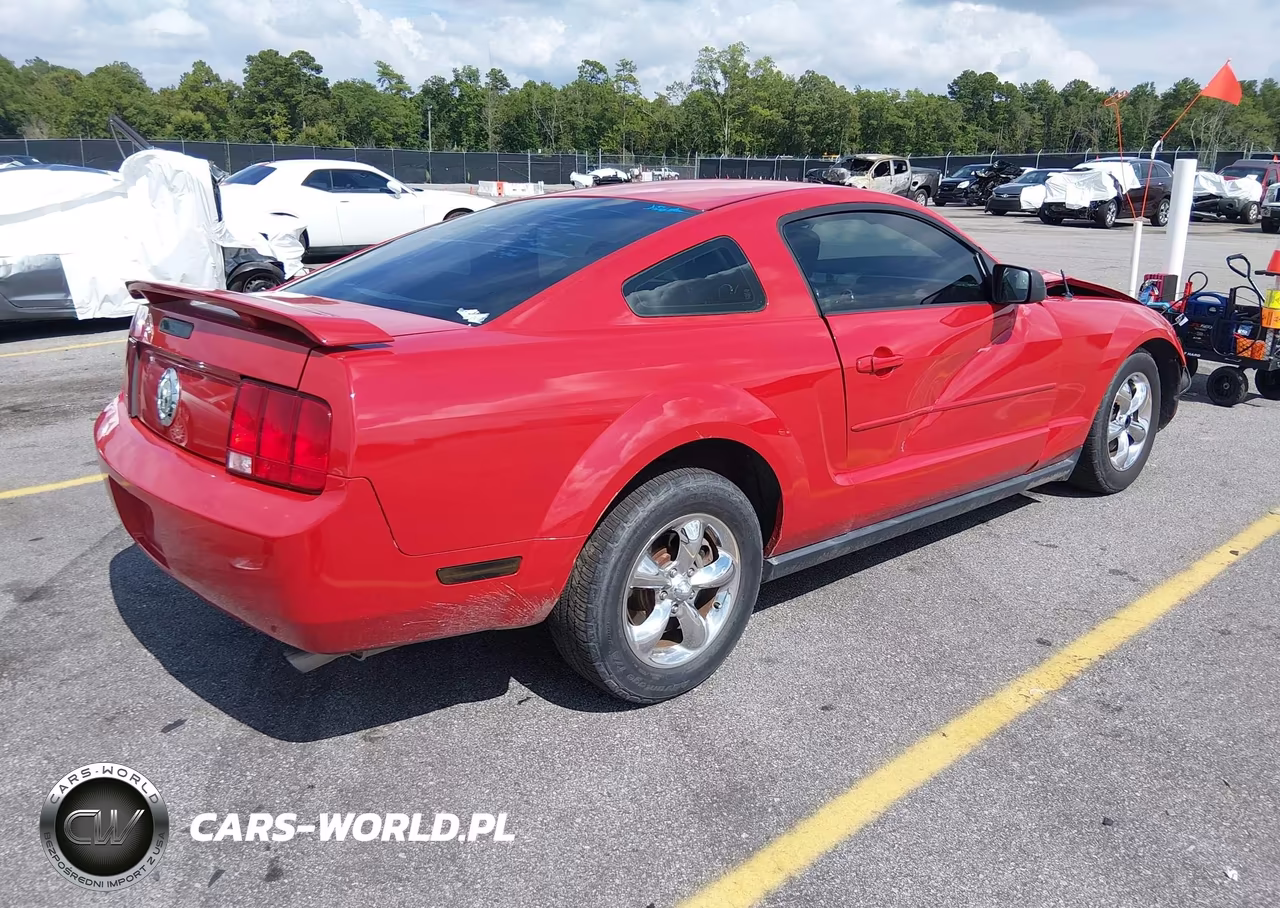 2006 Ford Mustang V6 VIN:1ZVFT80N565244036 - 4