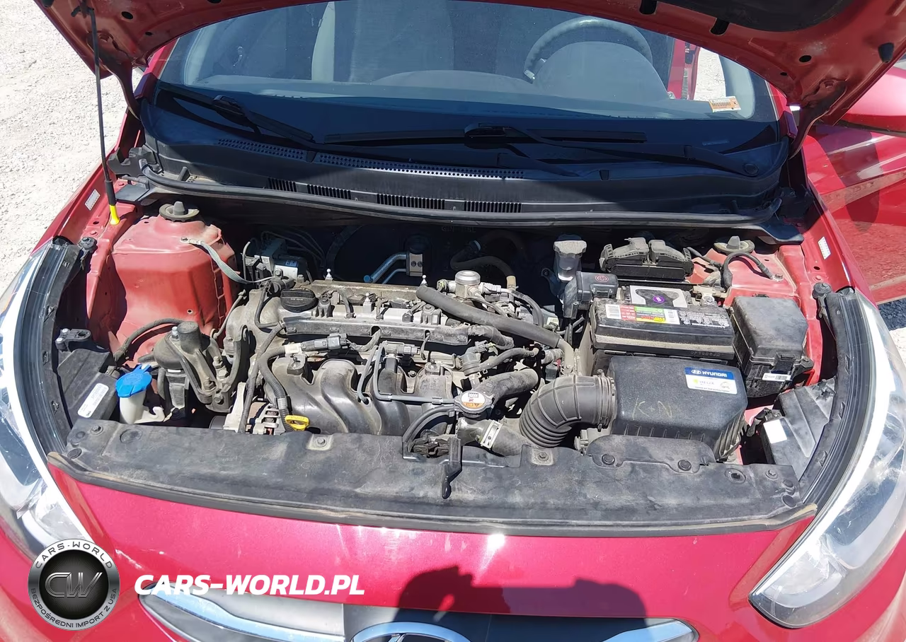 2015 Hyundai Accent Gs VIN:KMHCT5AEXFU233828 - 10