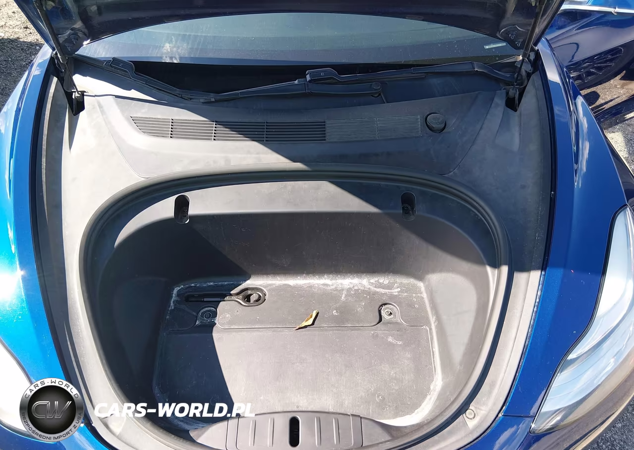 2020 Tesla Model 3 Long Range Dual Motor All-Wheel Drive VIN:5YJ3E1EBXLF601081 - 10