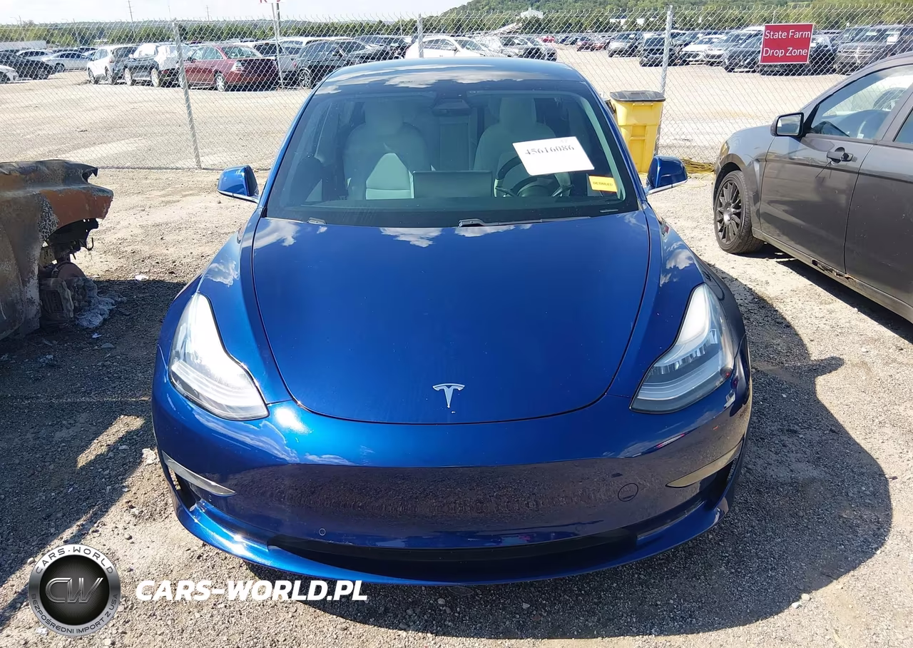 2020 Tesla Model 3 Long Range Dual Motor All-Wheel Drive VIN:5YJ3E1EBXLF601081 - 13