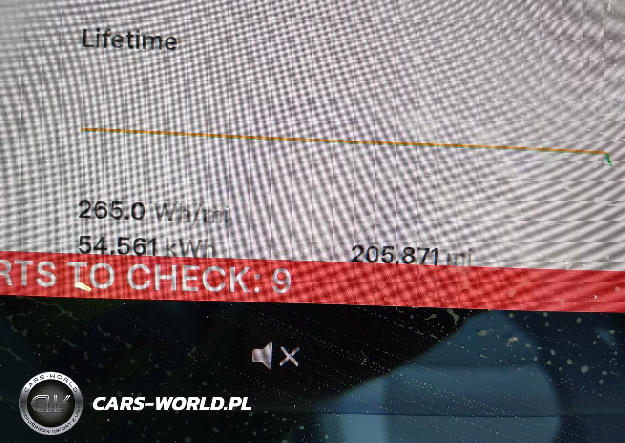 2020 Tesla Model 3 Long Range Dual Motor All-Wheel Drive VIN:5YJ3E1EBXLF601081 - 16