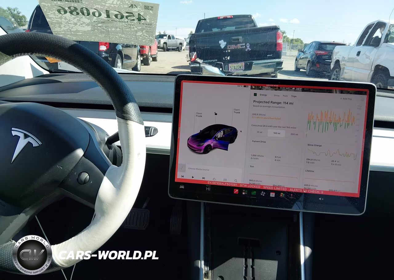 2020 Tesla Model 3 Long Range Dual Motor All-Wheel Drive VIN:5YJ3E1EBXLF601081 - 19
