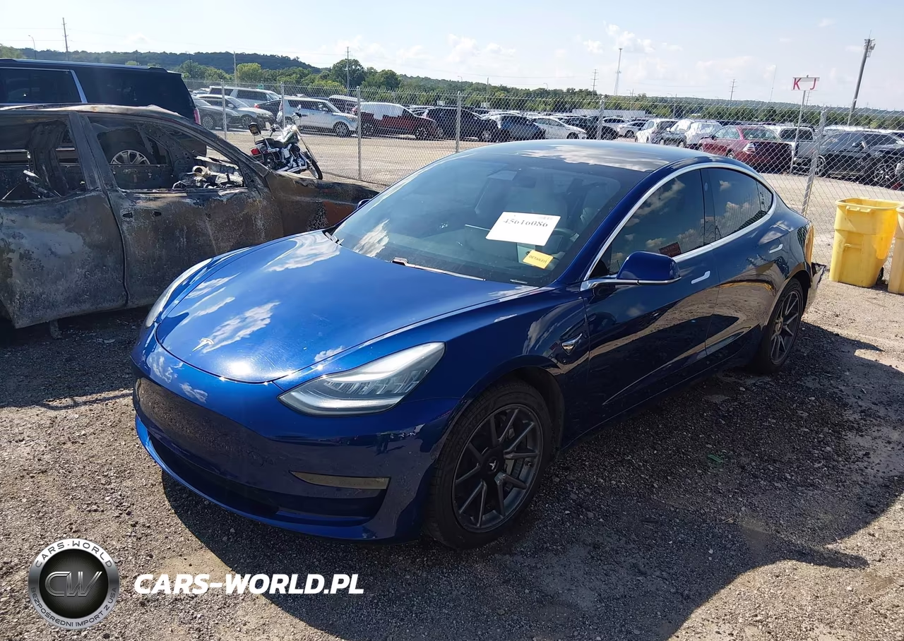 2020 Tesla Model 3 Long Range Dual Motor All-Wheel Drive VIN:5YJ3E1EBXLF601081 - 2