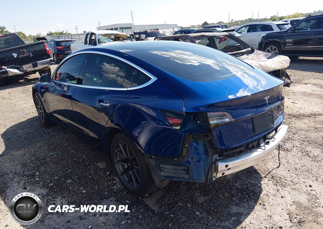 2020 Tesla Model 3 Long Range Dual Motor All-Wheel Drive VIN:5YJ3E1EBXLF601081 - 3