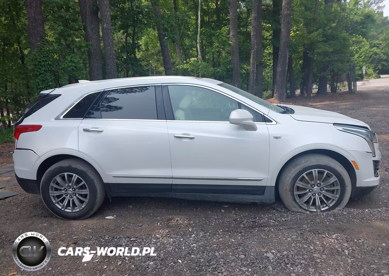 2019 Cadillac Xt5 Luxury VIN:1GYKNCRS6KZ152485 - 13