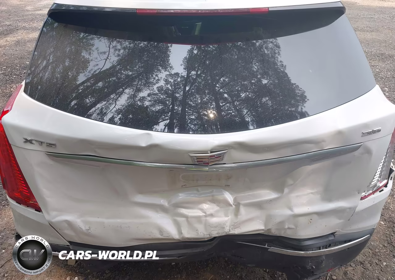 2019 Cadillac Xt5 Luxury VIN:1GYKNCRS6KZ152485 - 6