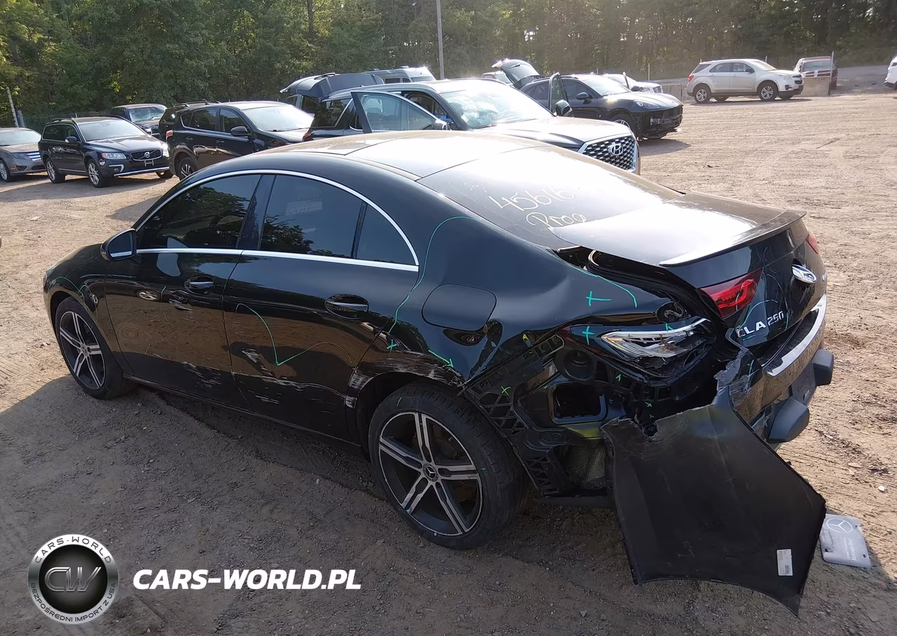 2020 Mercedes-Benz Cla 250 4Matic VIN:WDD5J4HB2LN023793 - 6