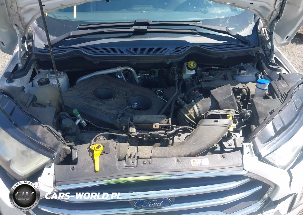 2019 Ford Ecosport Titanium VIN:MAJ6S3KL2KC262994 - 10