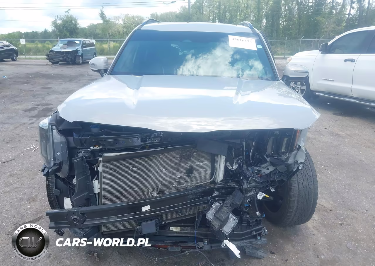 2024 Kia Telluride Sx X-Pro VIN:5XYP5DGC6RG525014 - 12