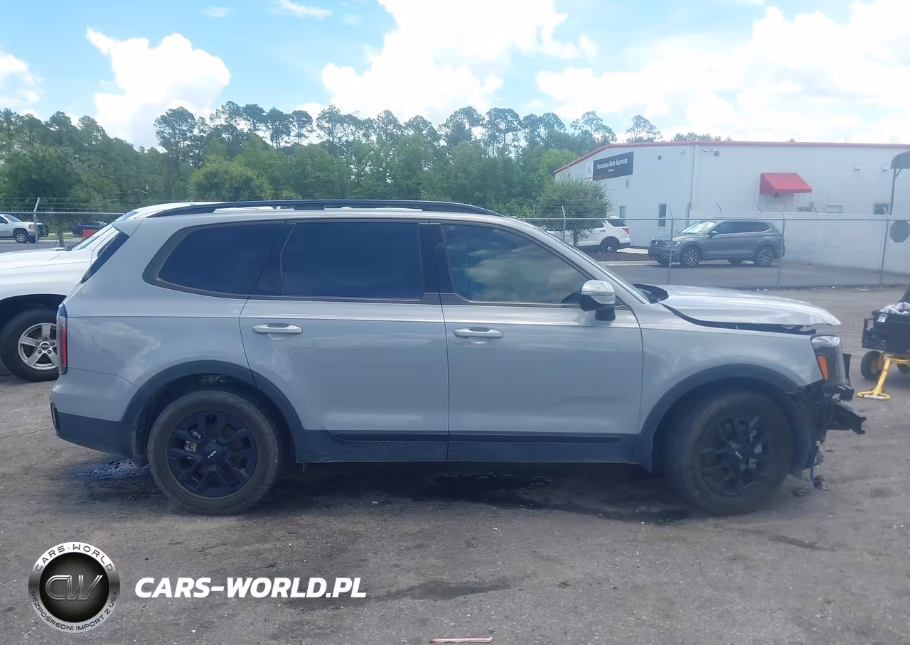 2024 Kia Telluride Sx X-Pro VIN:5XYP5DGC6RG525014 - 13