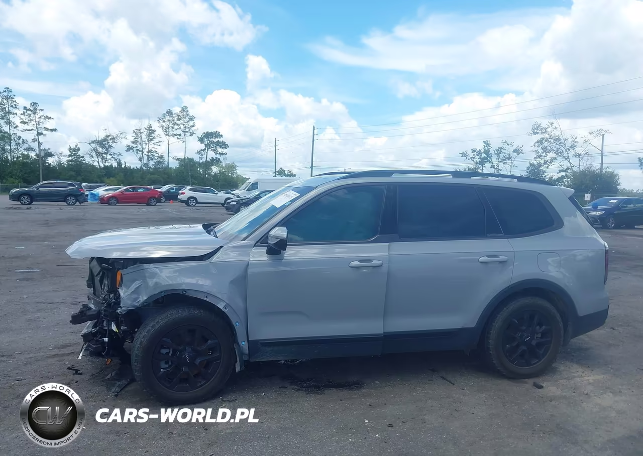 2024 Kia Telluride Sx X-Pro VIN:5XYP5DGC6RG525014 - 14