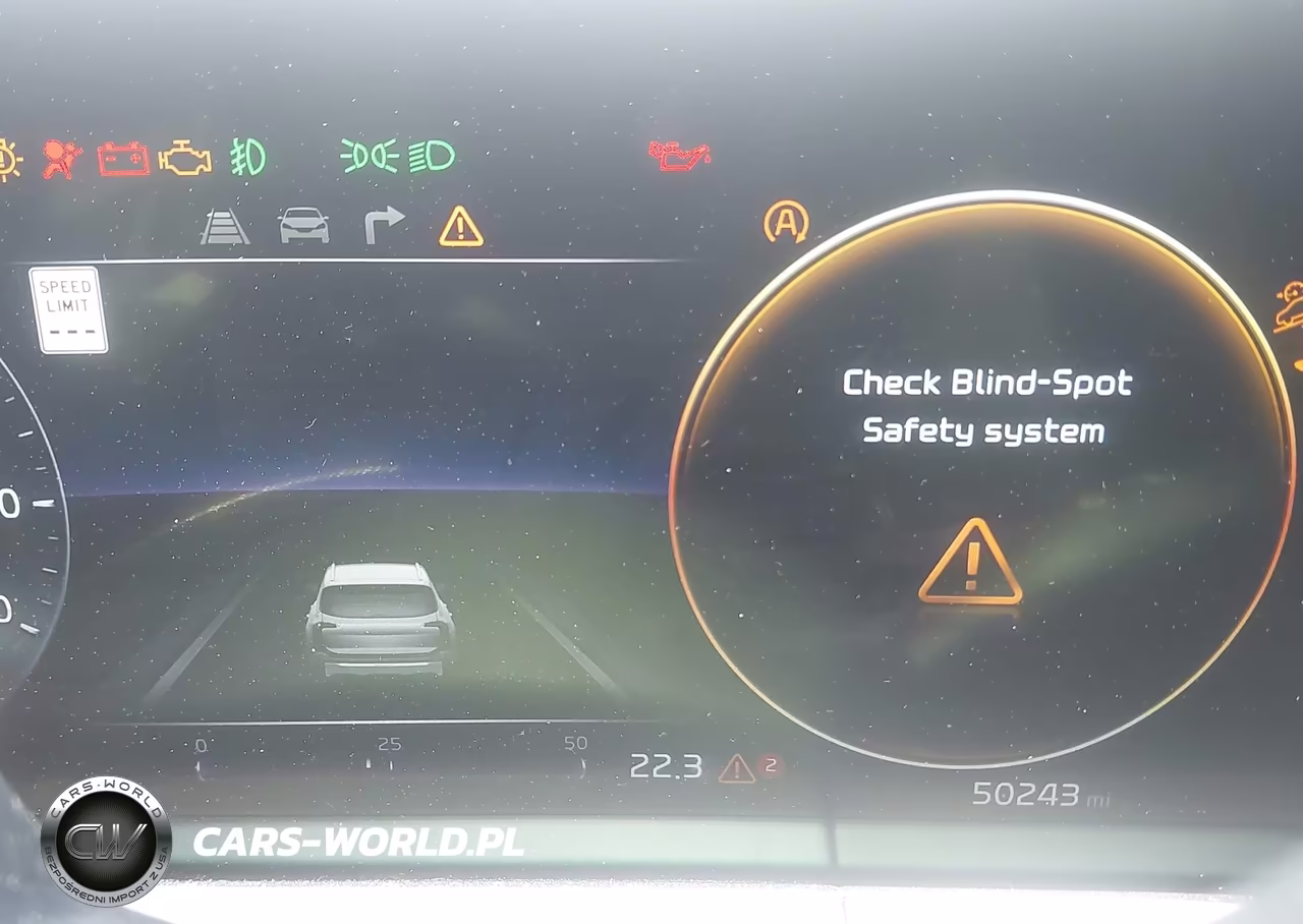 2024 Kia Telluride Sx X-Pro VIN:5XYP5DGC6RG525014 - 15