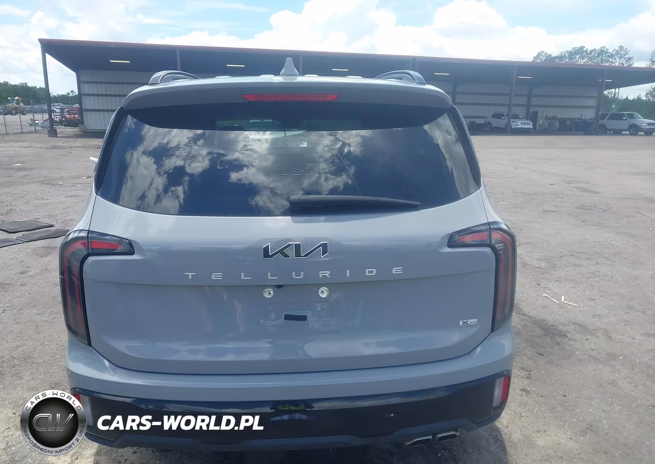 2024 Kia Telluride Sx X-Pro VIN:5XYP5DGC6RG525014 - 16
