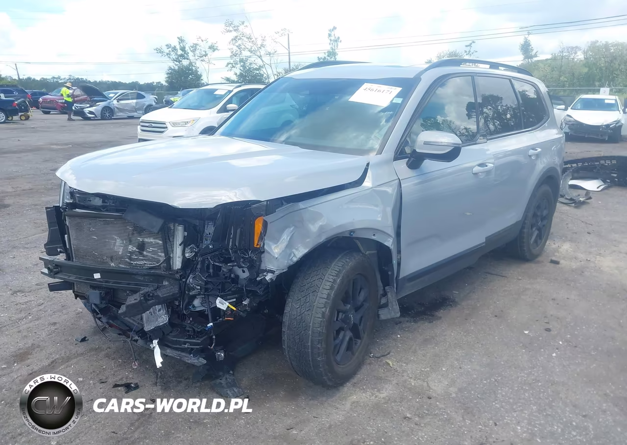 2024 Kia Telluride Sx X-Pro VIN:5XYP5DGC6RG525014 - 2