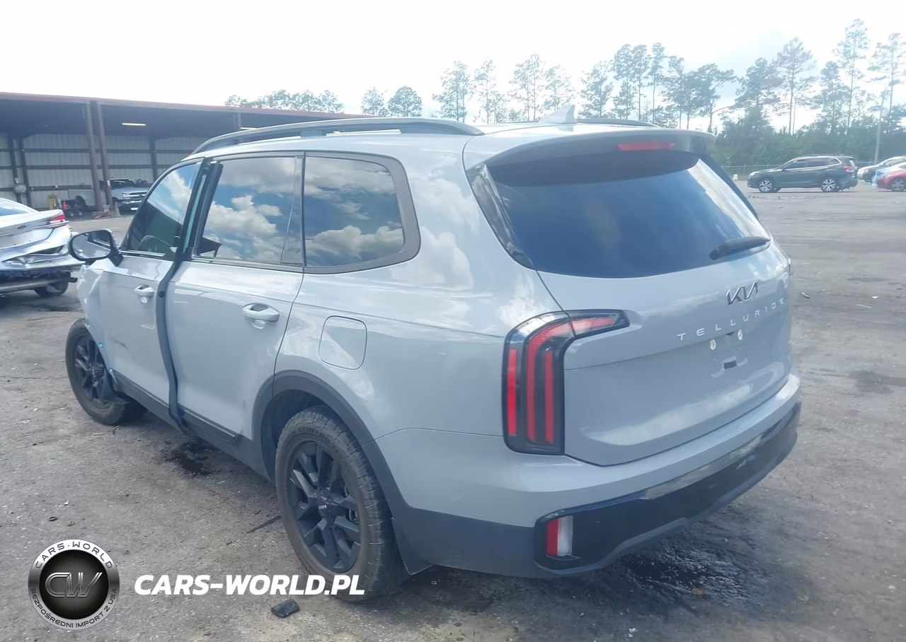 2024 Kia Telluride Sx X-Pro VIN:5XYP5DGC6RG525014 - 3