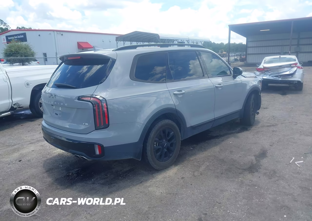 2024 Kia Telluride Sx X-Pro VIN:5XYP5DGC6RG525014 - 4