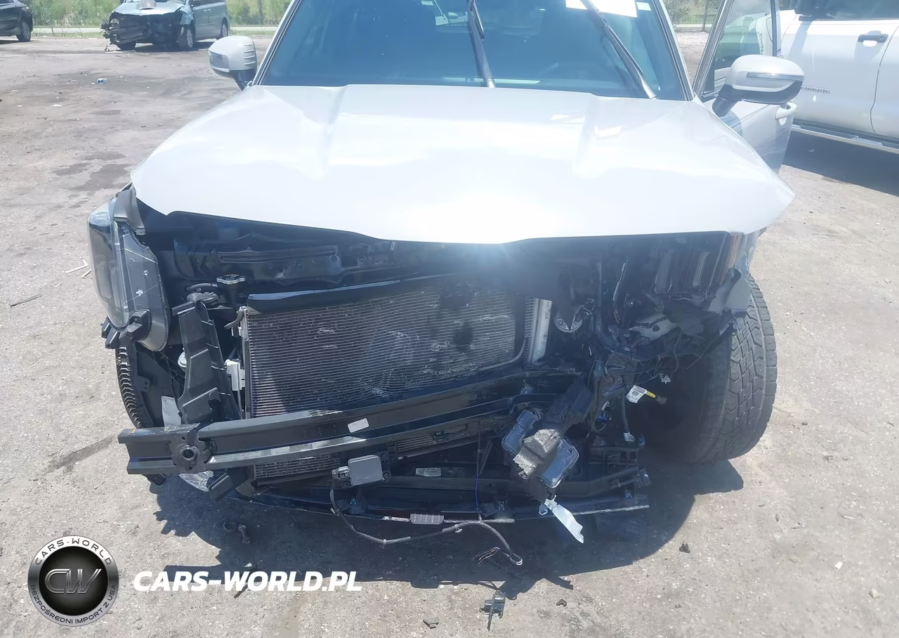 2024 Kia Telluride Sx X-Pro VIN:5XYP5DGC6RG525014 - 6