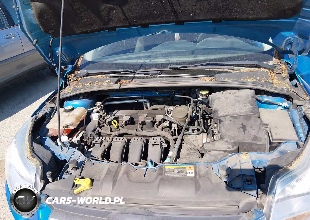 2013 Ford Focus Se VIN:1FADP3F22DL184973 - 10