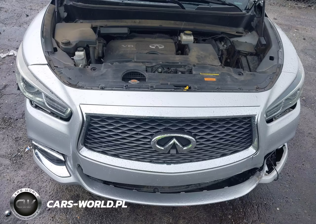 2019 Infiniti Qx60 Luxe VIN:5N1DL0MN7KC502239 - 10