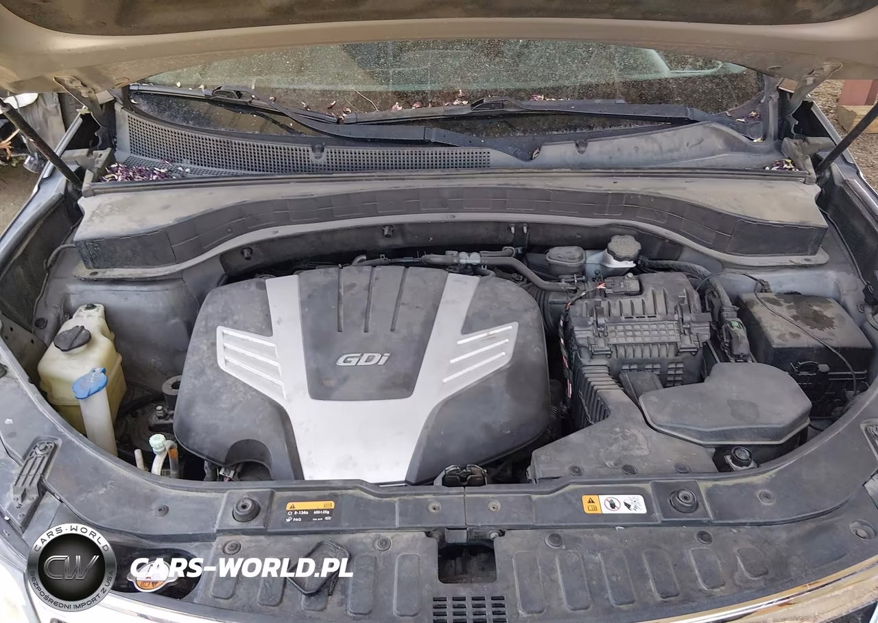 2015 Kia Sorento Lx V6 VIN:5XYKTDA73FG554218 - 10
