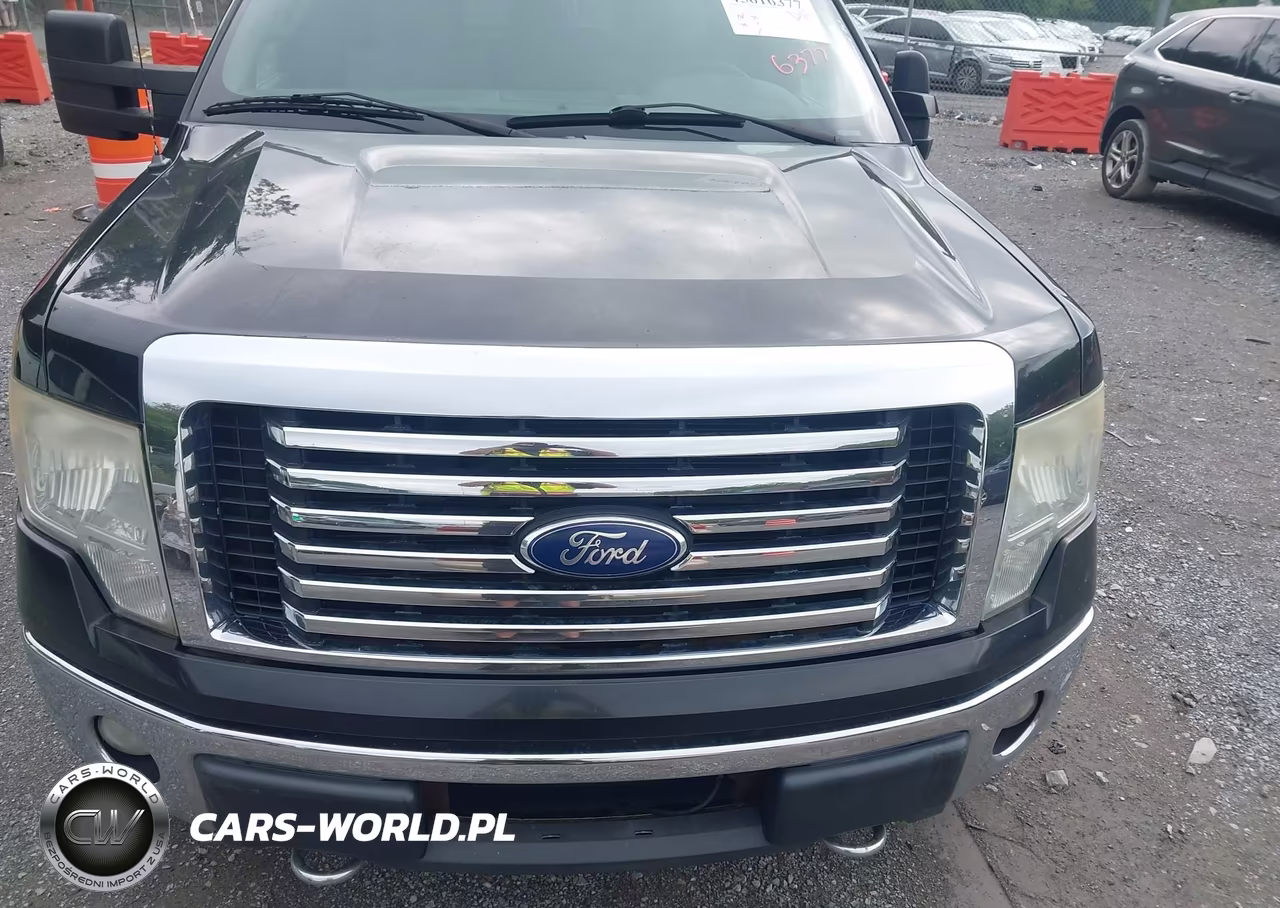2011 Ford F-150 Xlt VIN:1FTFW1ET0BFA97248 - 12