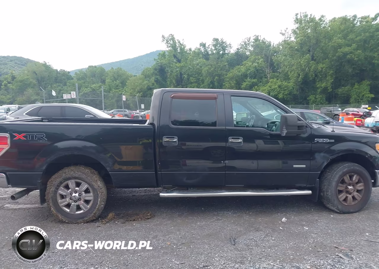 2011 Ford F-150 Xlt VIN:1FTFW1ET0BFA97248 - 13